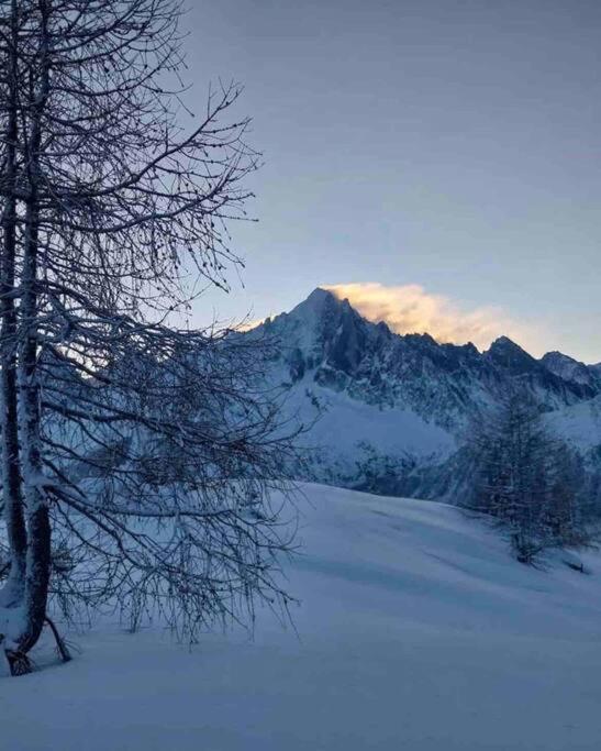 Ski Chamonix, Saint Gervais Et Mont-Blanc Паси Екстериор снимка